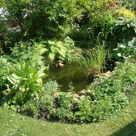 Tauchparadies Kreidesee Hemmoor Ngoại thất bức ảnh